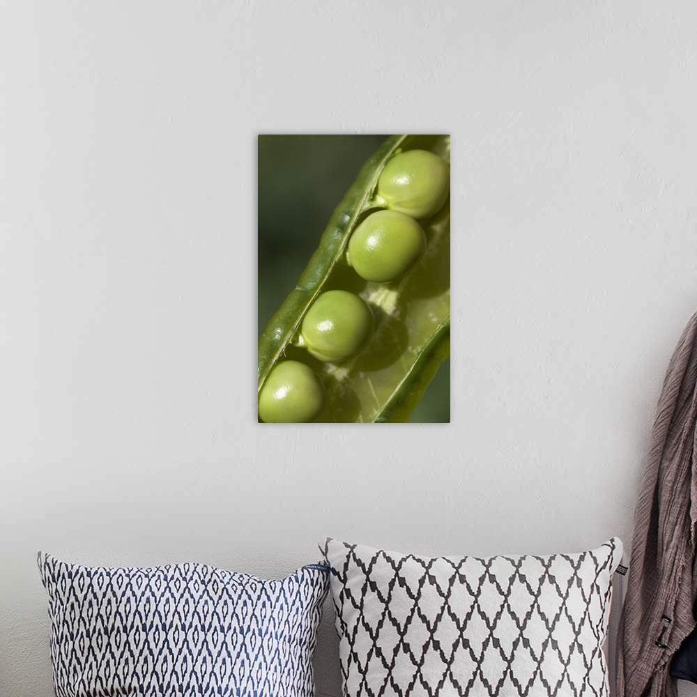 A bohemian room featuring An Opened Green Pea Pod