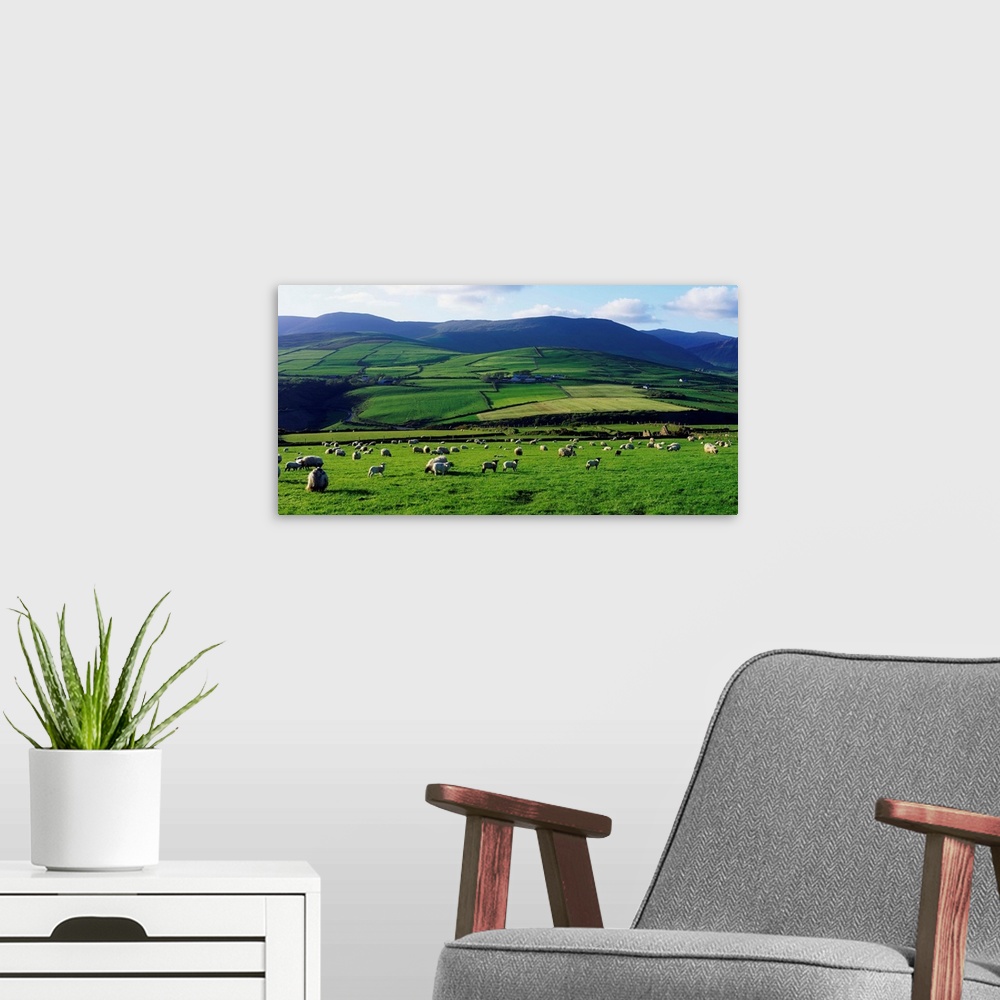 A modern room featuring Anascual, Dingle Peninsula, County Kerry, Ireland