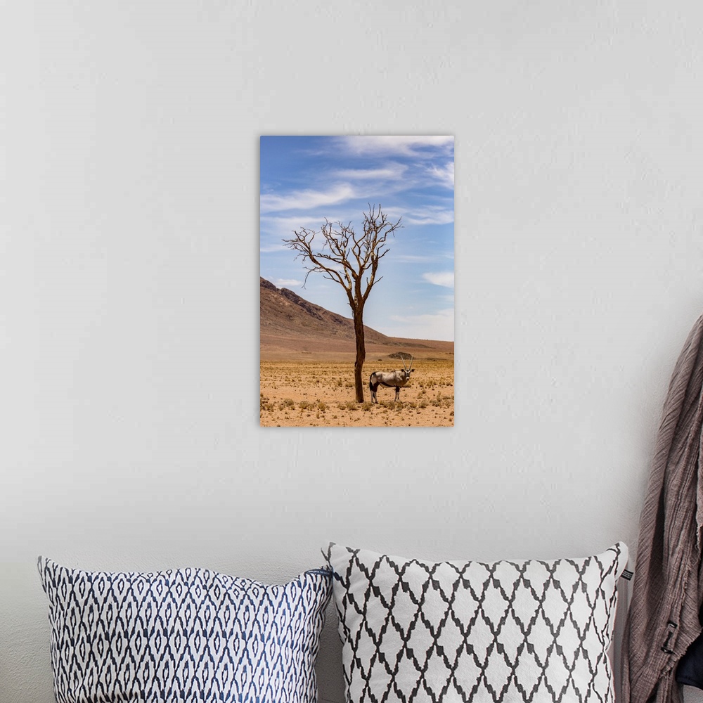 A bohemian room featuring An antelope stands under a tree in the desert; Sossusvlei, Hardap Region, Namibia
