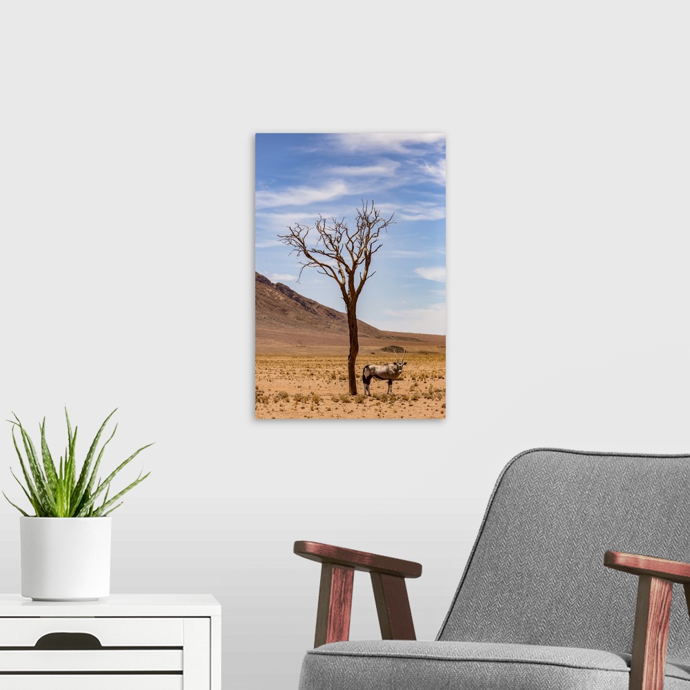 A modern room featuring An antelope stands under a tree in the desert; Sossusvlei, Hardap Region, Namibia