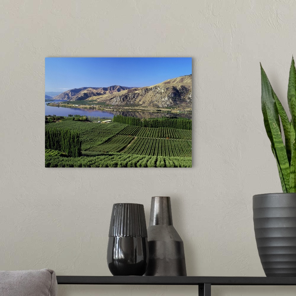 A modern room featuring Apple orchards along the Columbia River, near Orondo, Washington
