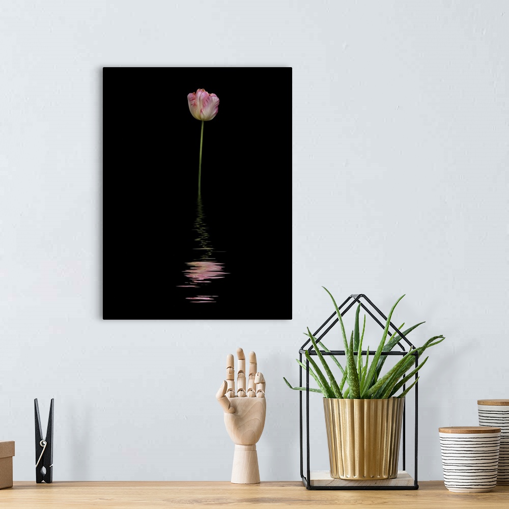 A bohemian room featuring Art image of a pink and white tulip reflected in water.