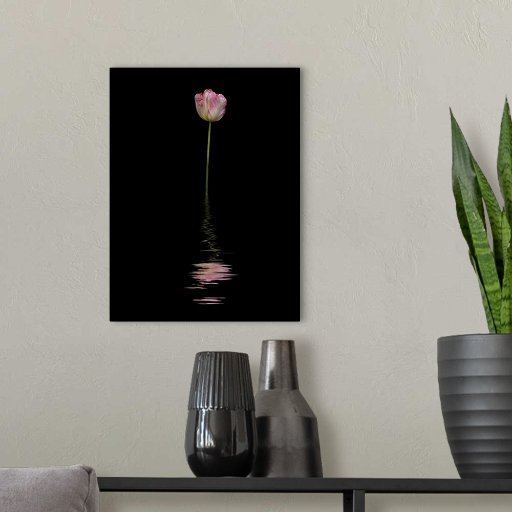 A modern room featuring Art image of a pink and white tulip reflected in water.