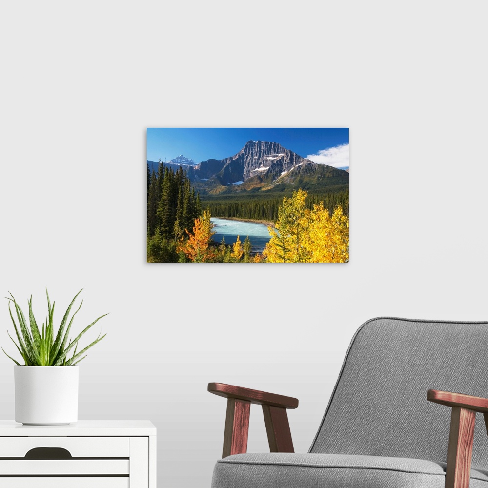 A modern room featuring Athabasca River In Autumn, Jasper National Park, Alberta, Canada
