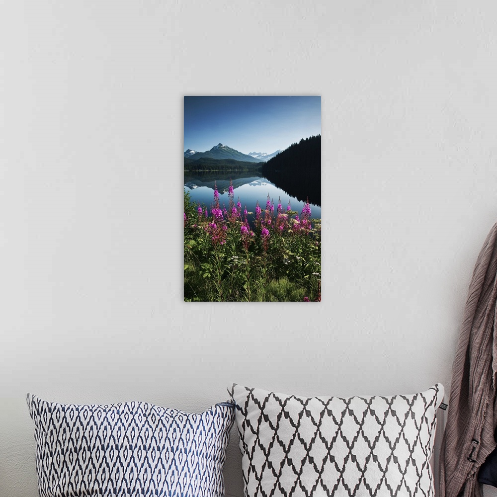 A bohemian room featuring Auke Lake On A Clear Day With Fireweed In The Foreground, Alaska