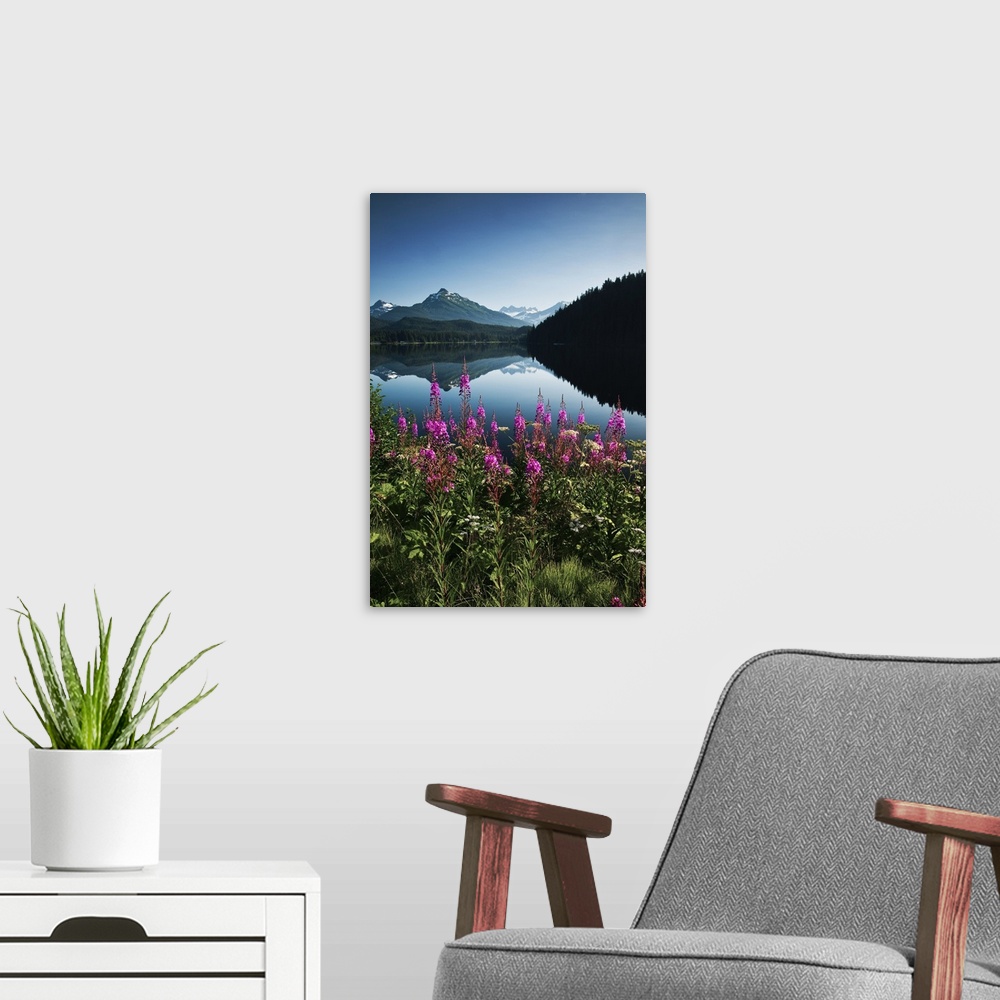 A modern room featuring Auke Lake On A Clear Day With Fireweed In The Foreground, Alaska