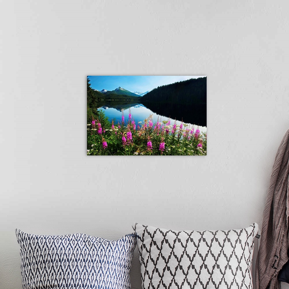 A bohemian room featuring Auke Lake On A Clear Day With Fireweed In The Foreground, Alaska, Summer