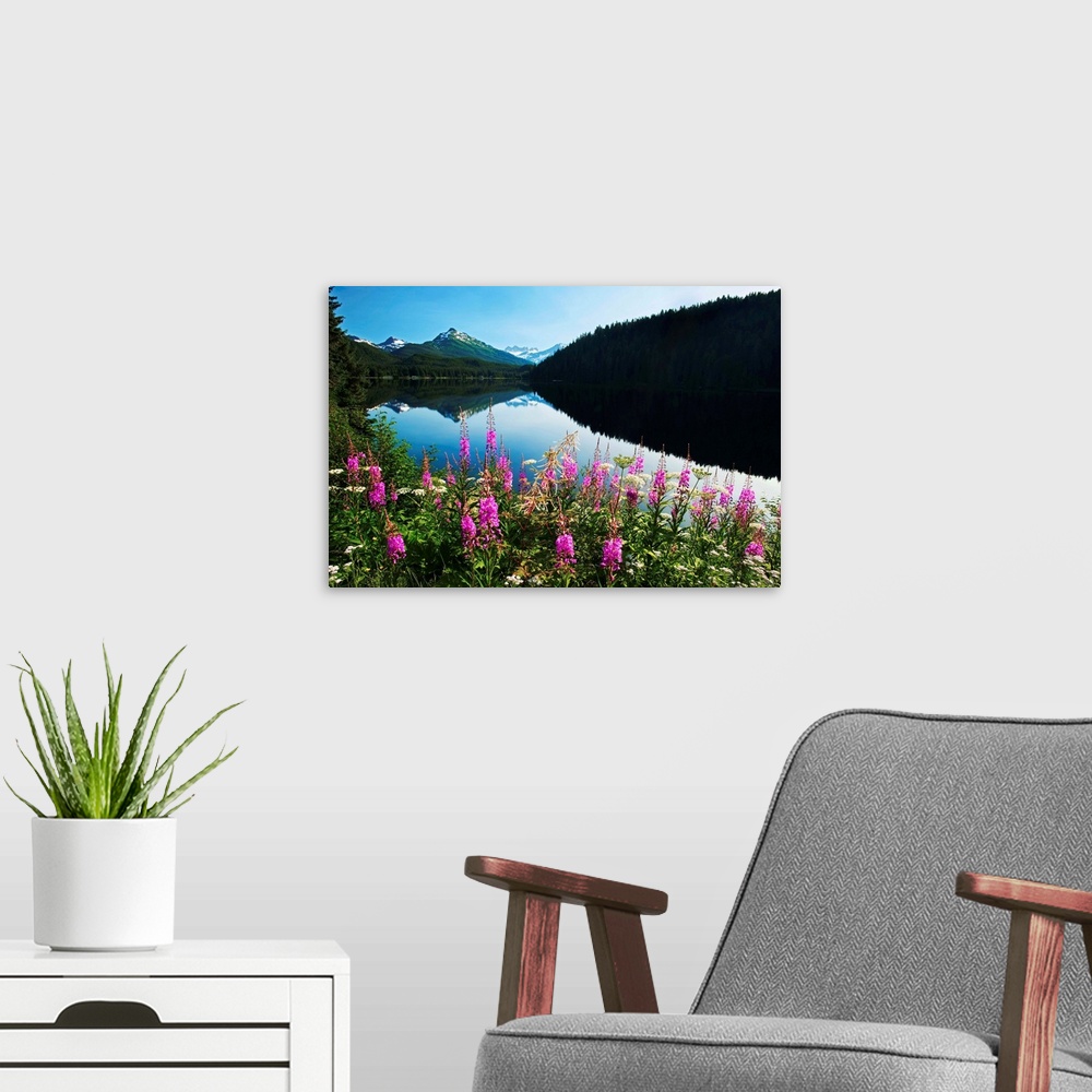 A modern room featuring Auke Lake On A Clear Day With Fireweed In The Foreground, Alaska, Summer