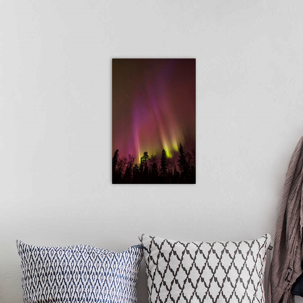 A bohemian room featuring Aurora borealis over trees; Thunder Bay, Ontario, Canada