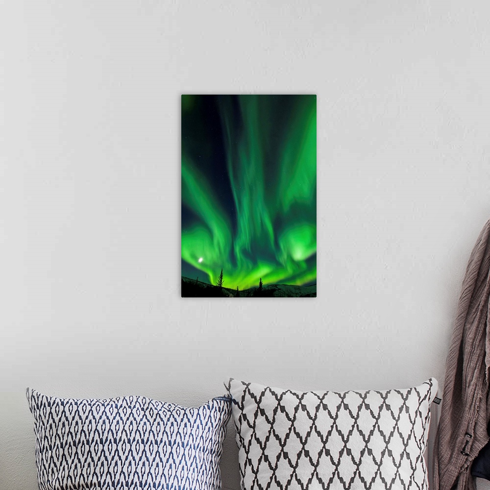 A bohemian room featuring The bright neon green aurora and moon dancing like a flame over the boreal forest, Chena River St...