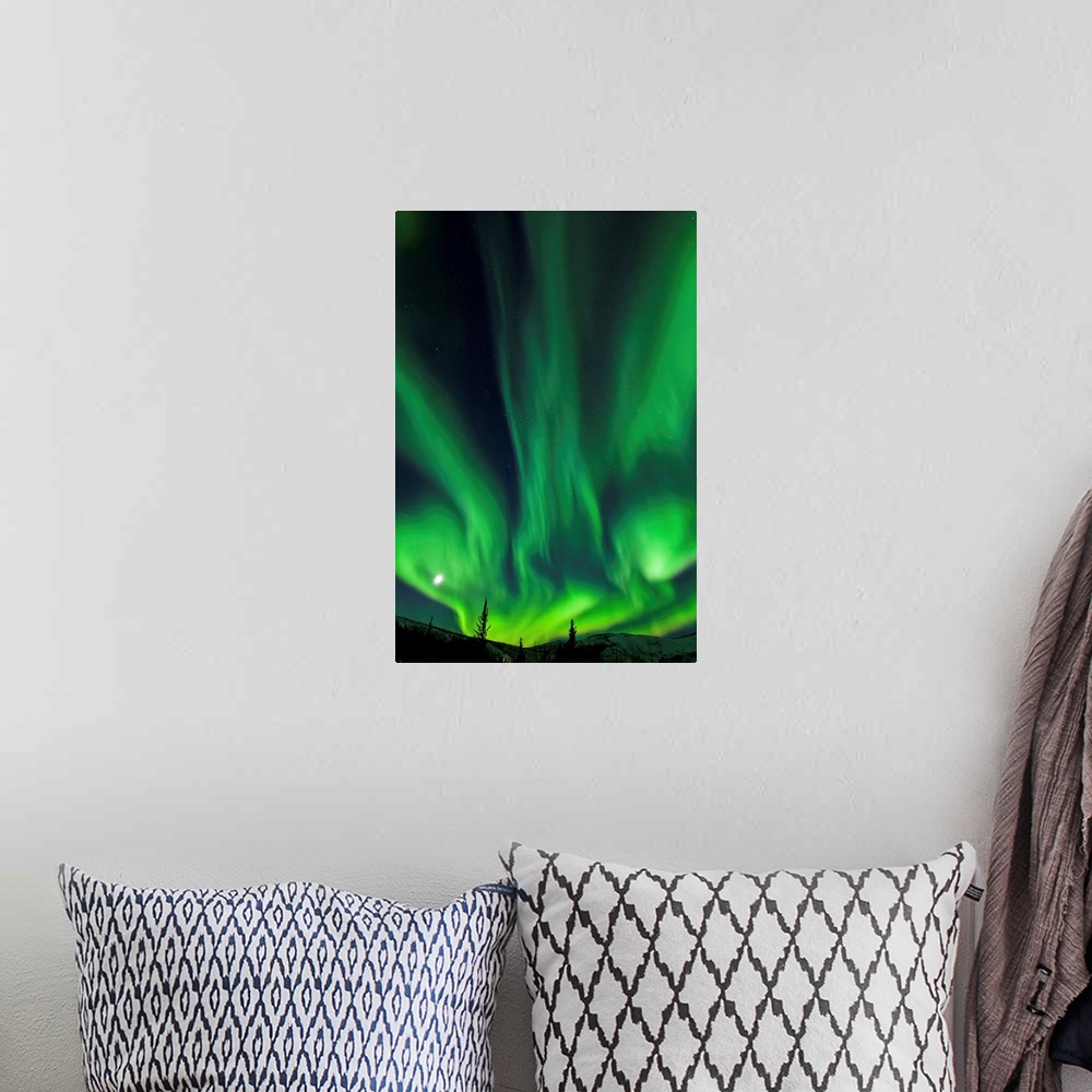 A bohemian room featuring The bright neon green aurora and moon dancing like a flame over the boreal forest, Chena River St...