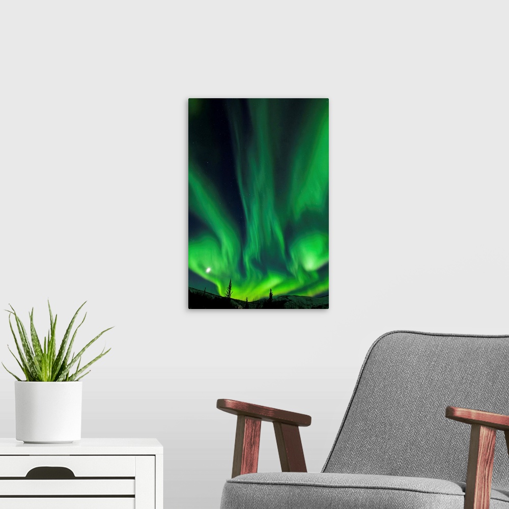 A modern room featuring The bright neon green aurora and moon dancing like a flame over the boreal forest, Chena River St...