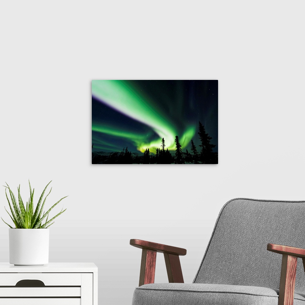 A modern room featuring The bright neon green aurora swirling above the boreal forest, Chena River State Recreation Area,...