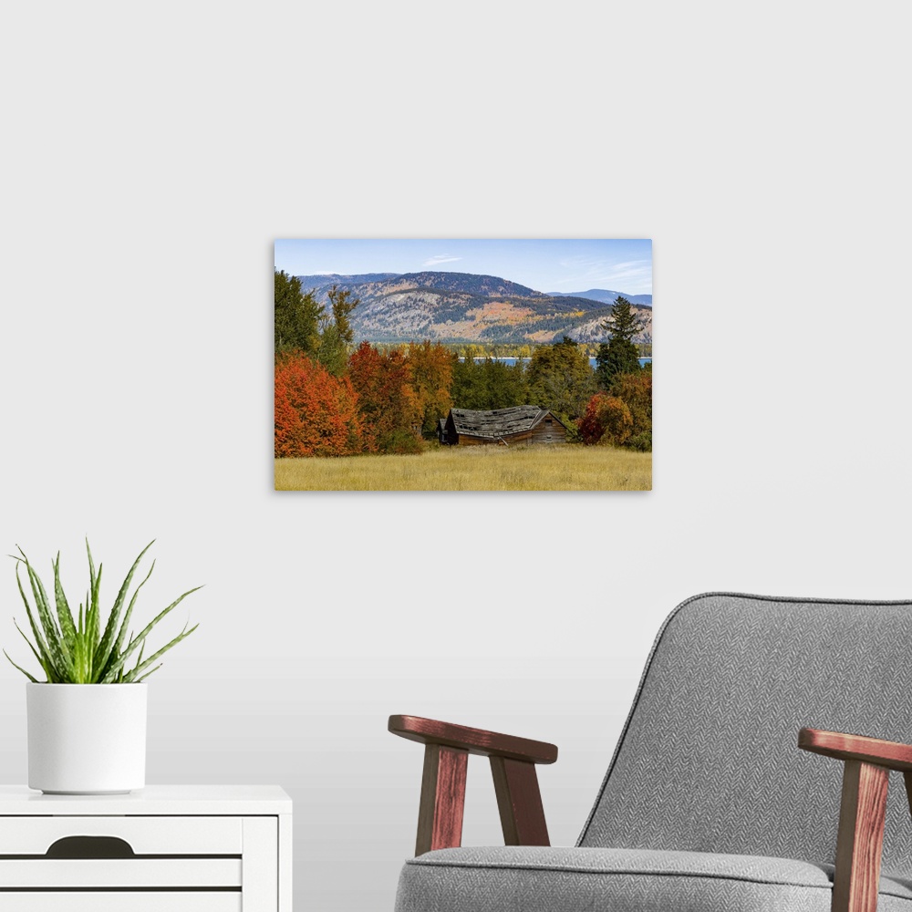 A modern room featuring Autumn coloured foliage in the Okanagan Valley; British Columbia, Canada