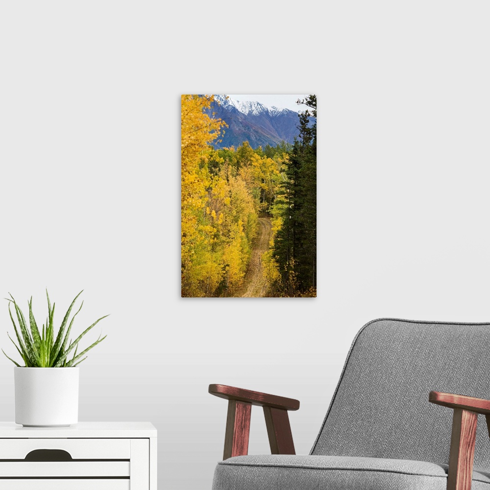 A modern room featuring Autumn colors line a dirt road, Alaska