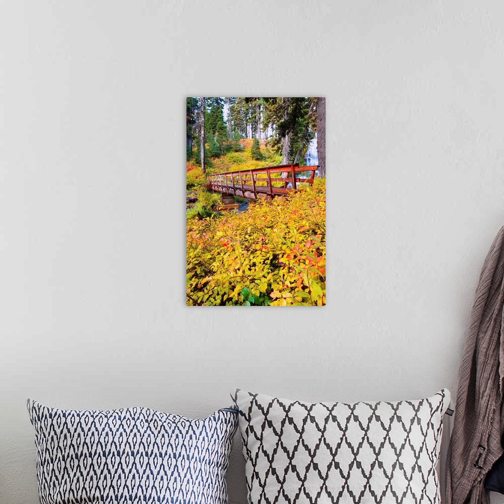 A bohemian room featuring Autumn Colours Add Beauty To Umbrella Falls, Oregon, USA