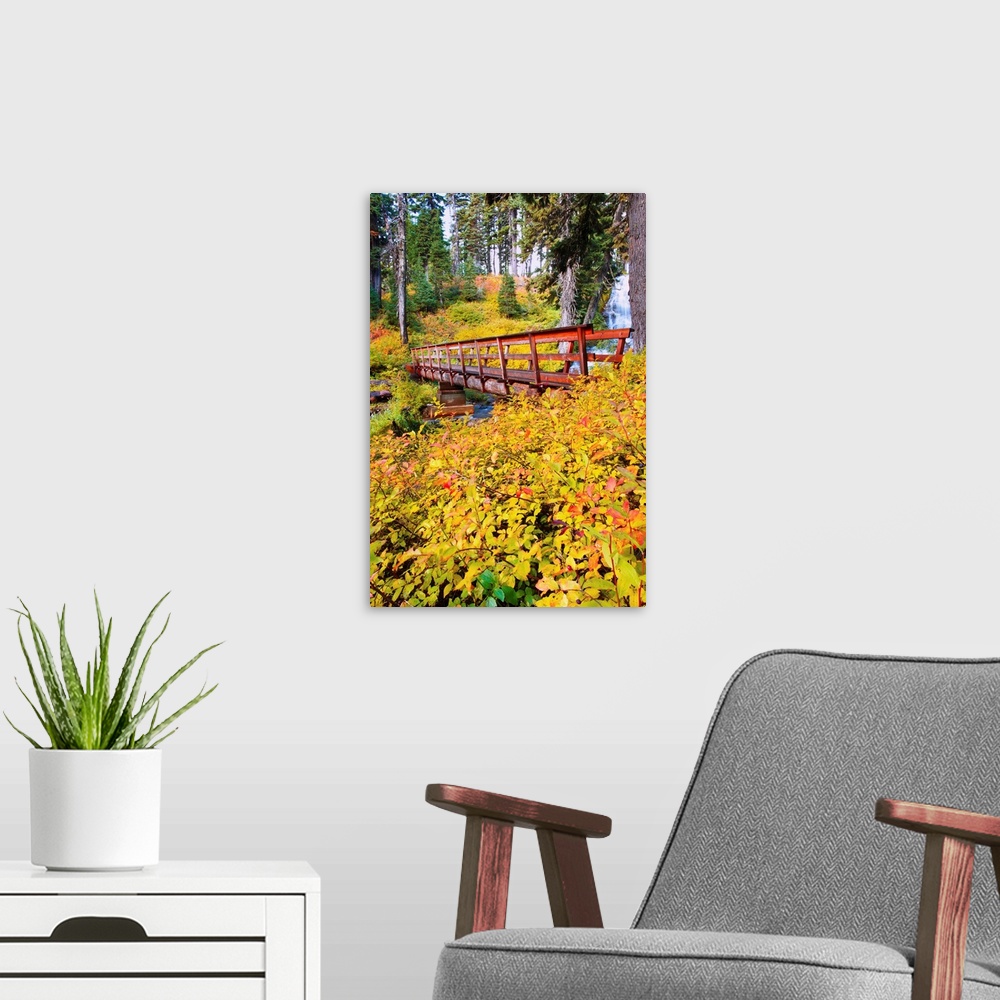 A modern room featuring Autumn Colours Add Beauty To Umbrella Falls, Oregon, USA