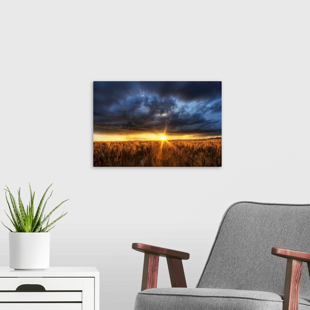 A modern room featuring Autumn Sunset Over A Barley Field, Alberta, Canada
