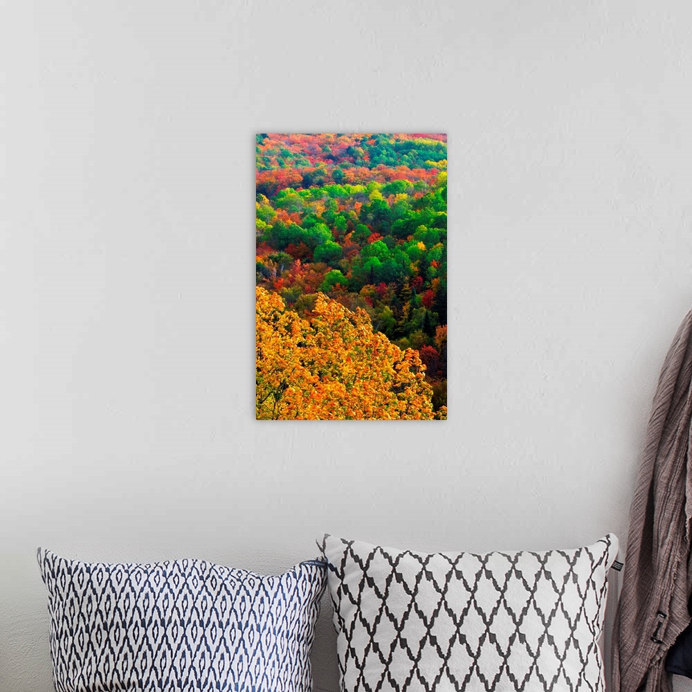 A bohemian room featuring Autumn Trees, Ottawa Valley, Ontario, Canada
