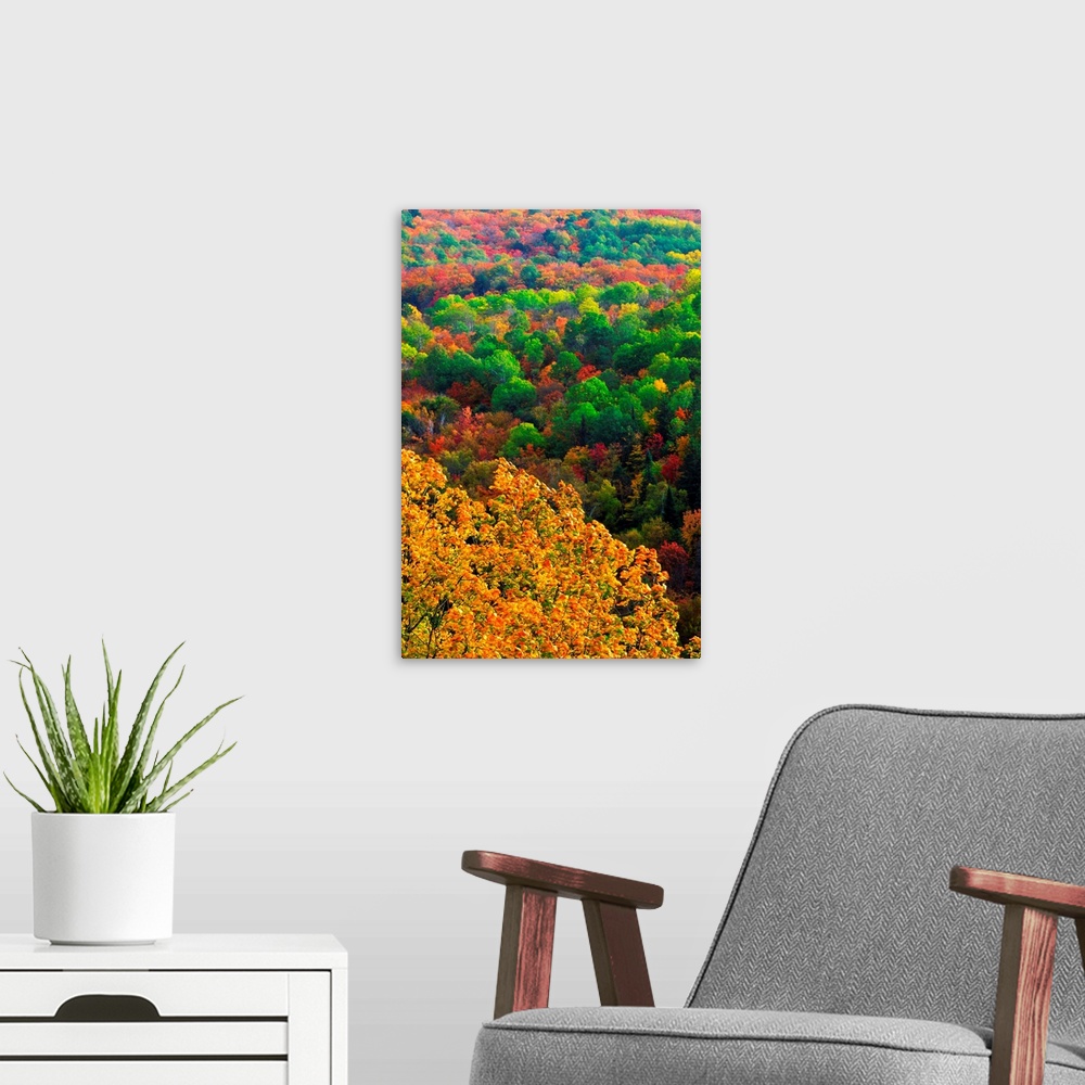 A modern room featuring Autumn Trees, Ottawa Valley, Ontario, Canada