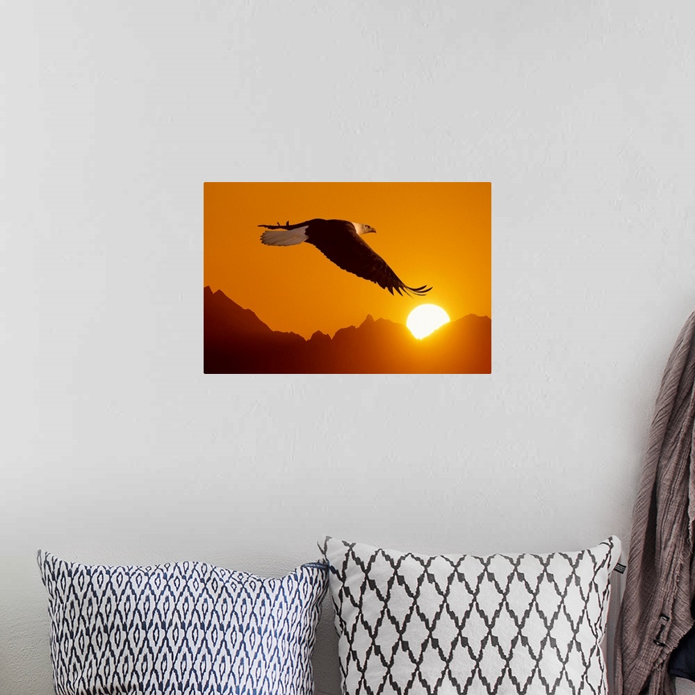 A bohemian room featuring Big close-up photograph of a bird flying set against a silhouetted backdrop of a mountain range c...