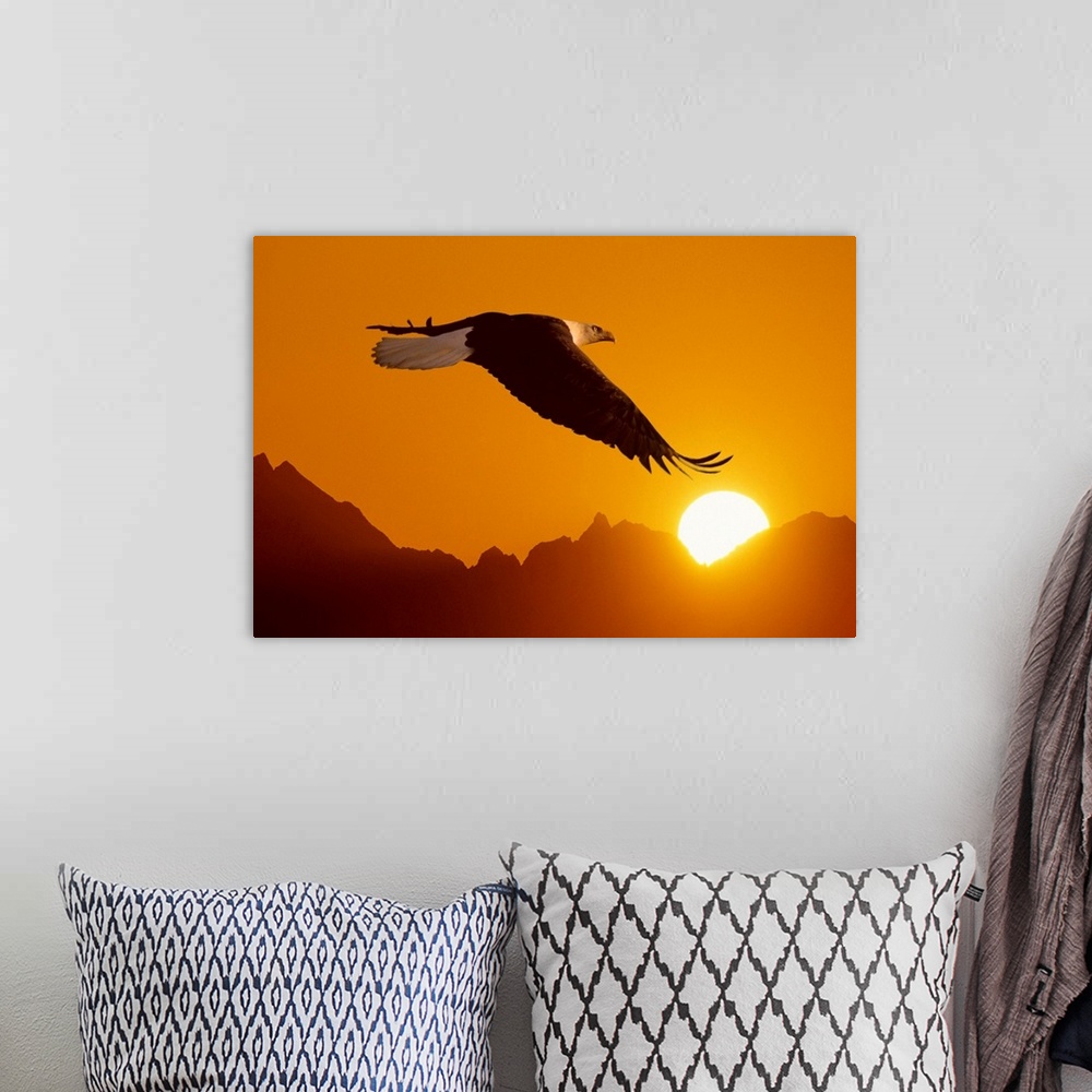 A bohemian room featuring Big close-up photograph of a bird flying set against a silhouetted backdrop of a mountain range c...
