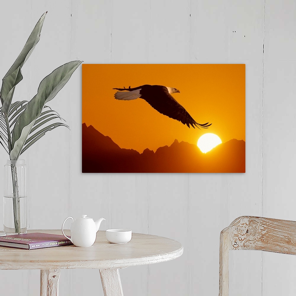 A farmhouse room featuring Big close-up photograph of a bird flying set against a silhouetted backdrop of a mountain range c...