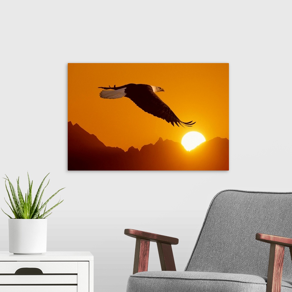 A modern room featuring Big close-up photograph of a bird flying set against a silhouetted backdrop of a mountain range c...