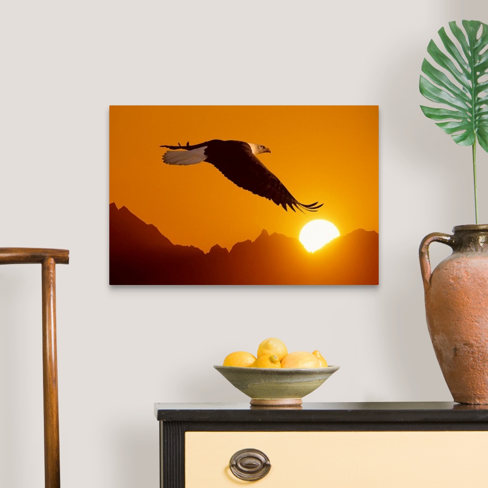 A traditional room featuring Big close-up photograph of a bird flying set against a silhouetted backdrop of a mountain range c...