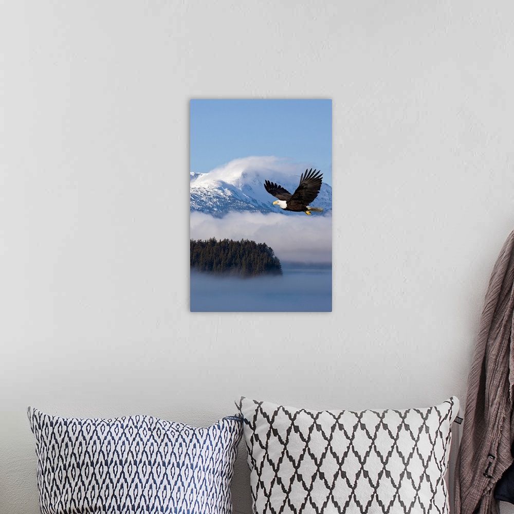 A bohemian room featuring The national bird of prey glides through the air over low hanging clouds passing through snowcapp...