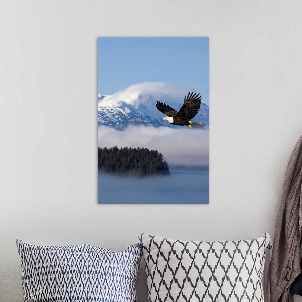 A bohemian room featuring The national bird of prey glides through the air over low hanging clouds passing through snowcapp...