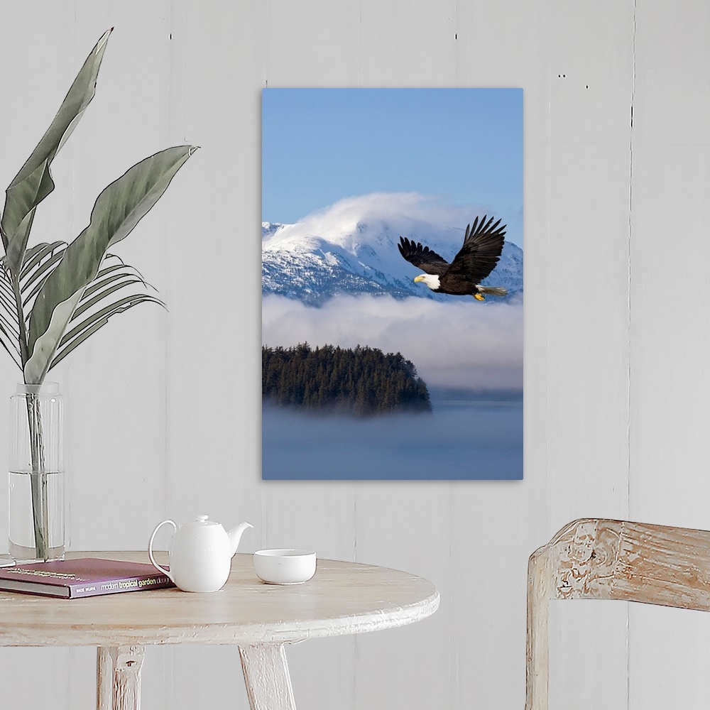 A farmhouse room featuring The national bird of prey glides through the air over low hanging clouds passing through snowcapp...