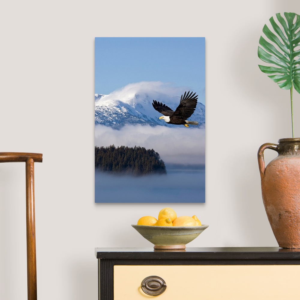 A traditional room featuring The national bird of prey glides through the air over low hanging clouds passing through snowcapp...