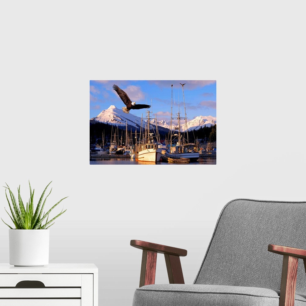 A modern room featuring Bald Eagle In Flight Through Auke Bay Boat Harbor Juneau Alaska