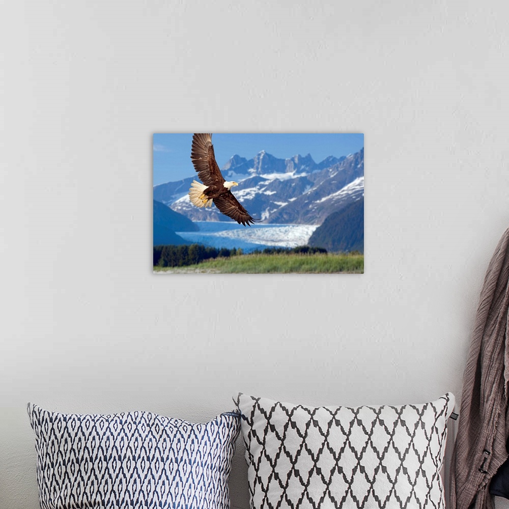A bohemian room featuring Large, horizontal photograph of a bald eagle in flight, in Tongass National Forest, Alaska.  Snow...