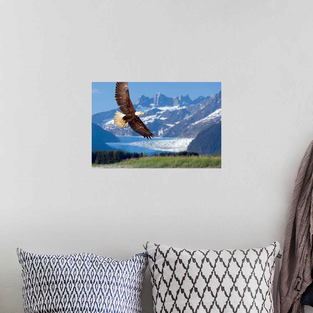 A bohemian room featuring Large, horizontal photograph of a bald eagle in flight, in Tongass National Forest, Alaska.  Snow...