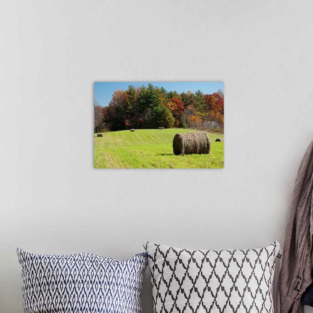 A bohemian room featuring Bales of hay in a field and a forest in autumn colors.