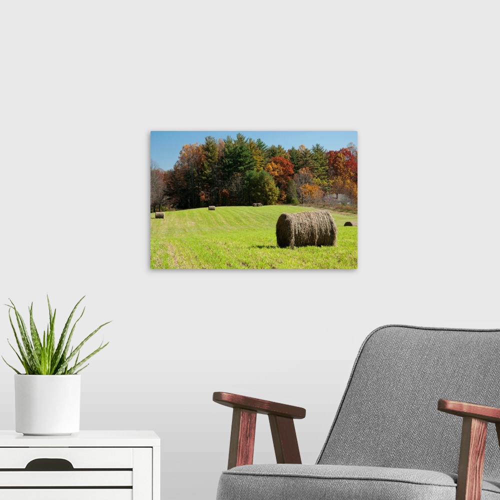 A modern room featuring Bales of hay in a field and a forest in autumn colors.
