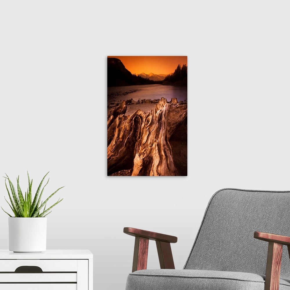 A modern room featuring Banff, Alberta, Canada, Driftwood And A Mountain River At Sunset