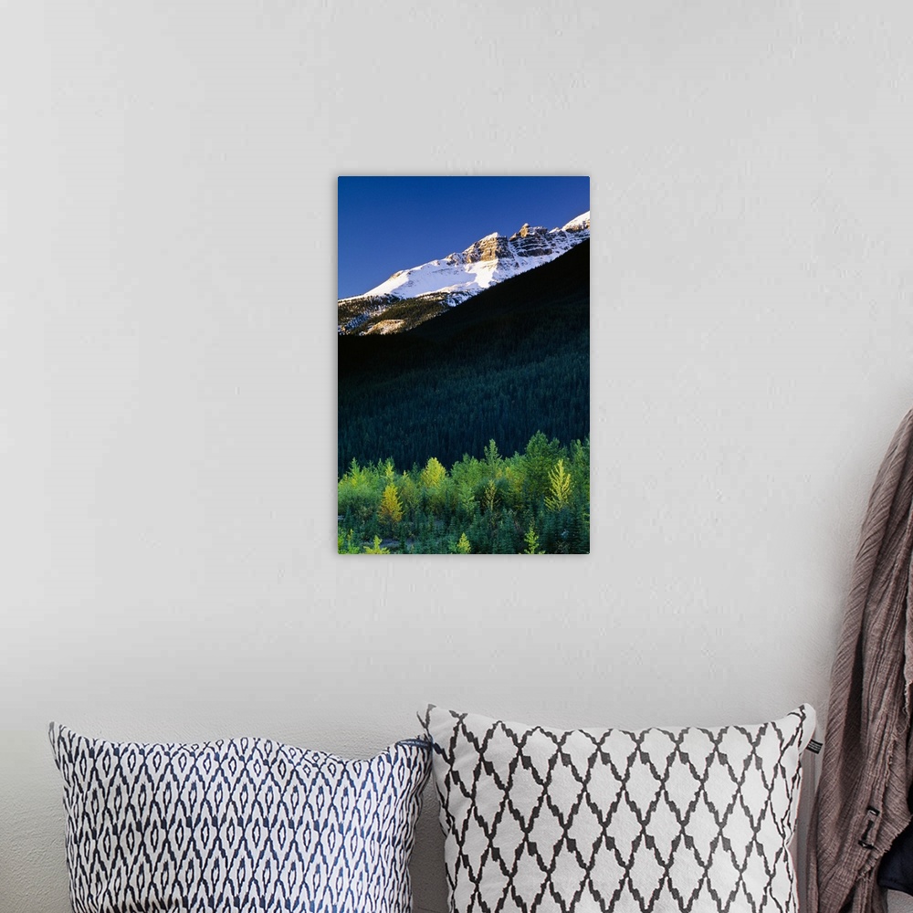 A bohemian room featuring Banff National Park, Alberta, Canada