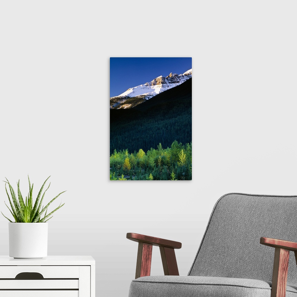 A modern room featuring Banff National Park, Alberta, Canada