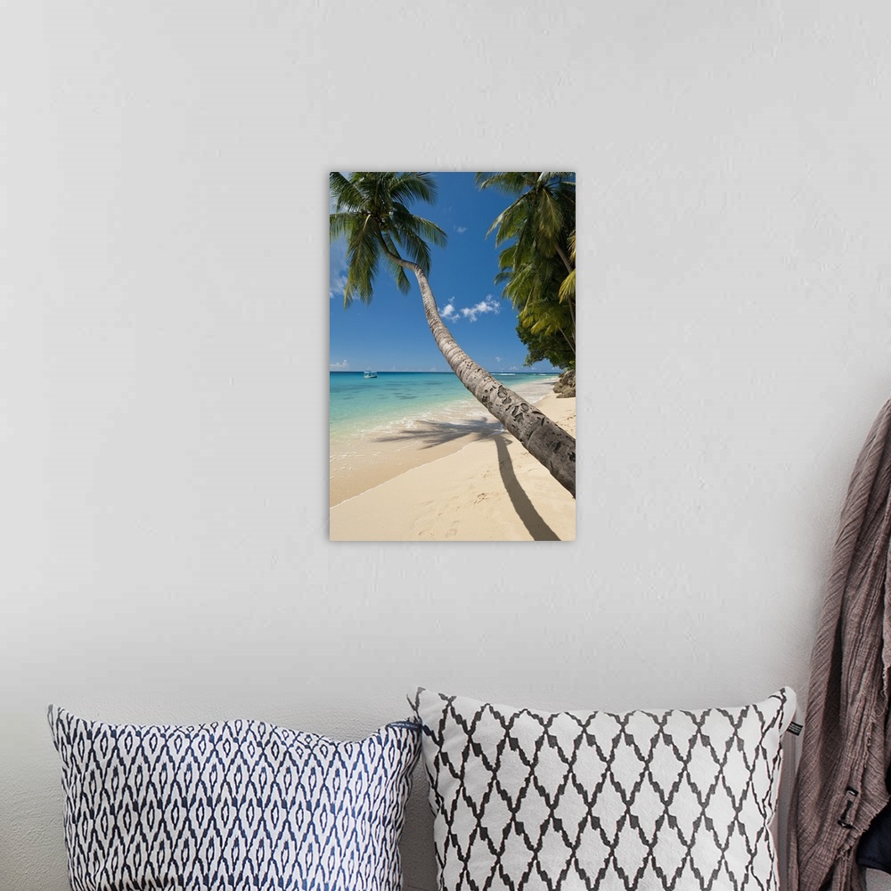 A bohemian room featuring Barbados, Palm tree leaning over beach near Holetown