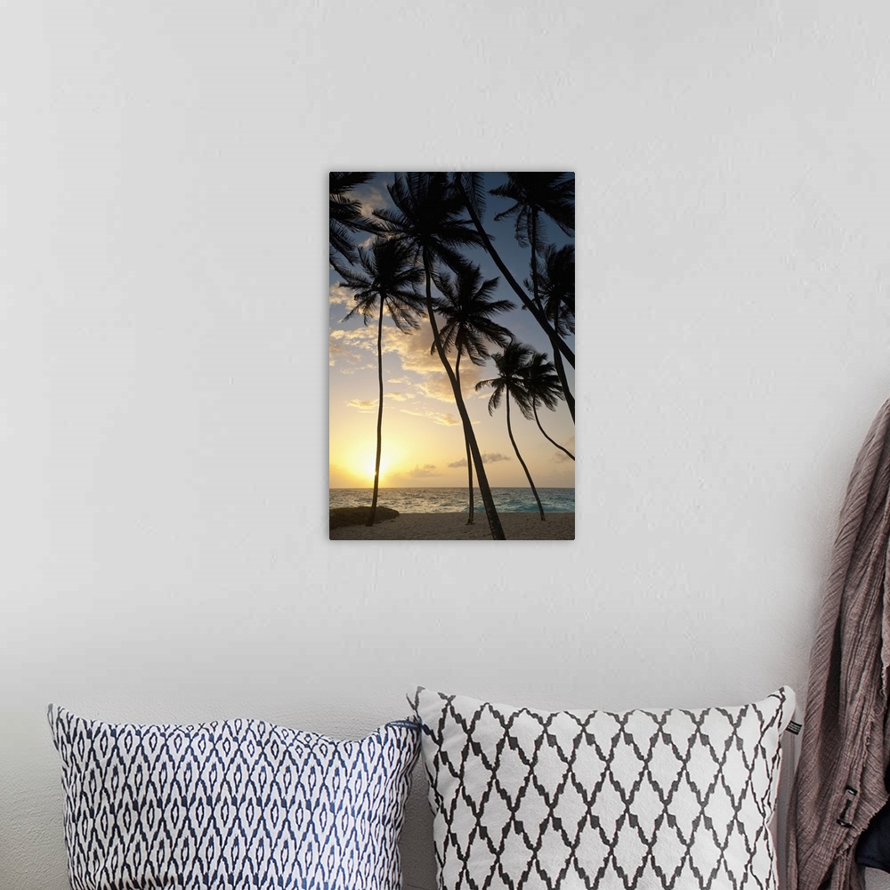 A bohemian room featuring Barbados, Silhouette of palm trees at dawn, Bottom Bay