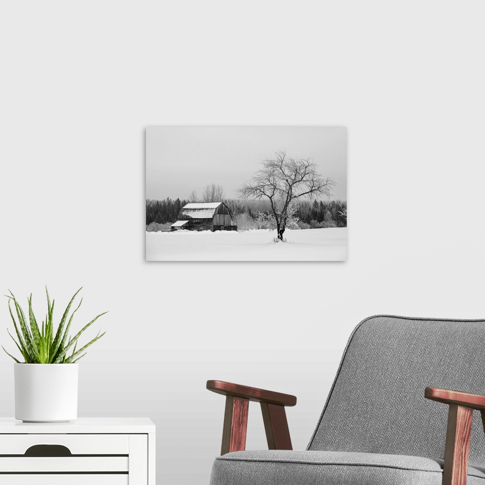 A modern room featuring Barn with tree in winter, Thunder Bay, Ontario, Canada