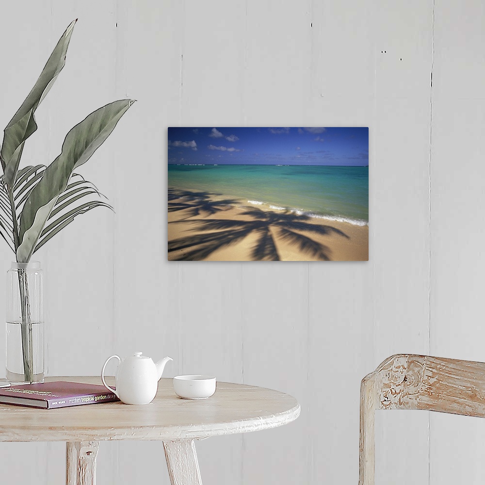 A farmhouse room featuring Large photo printed on canvas of the shadows of big palm trees.