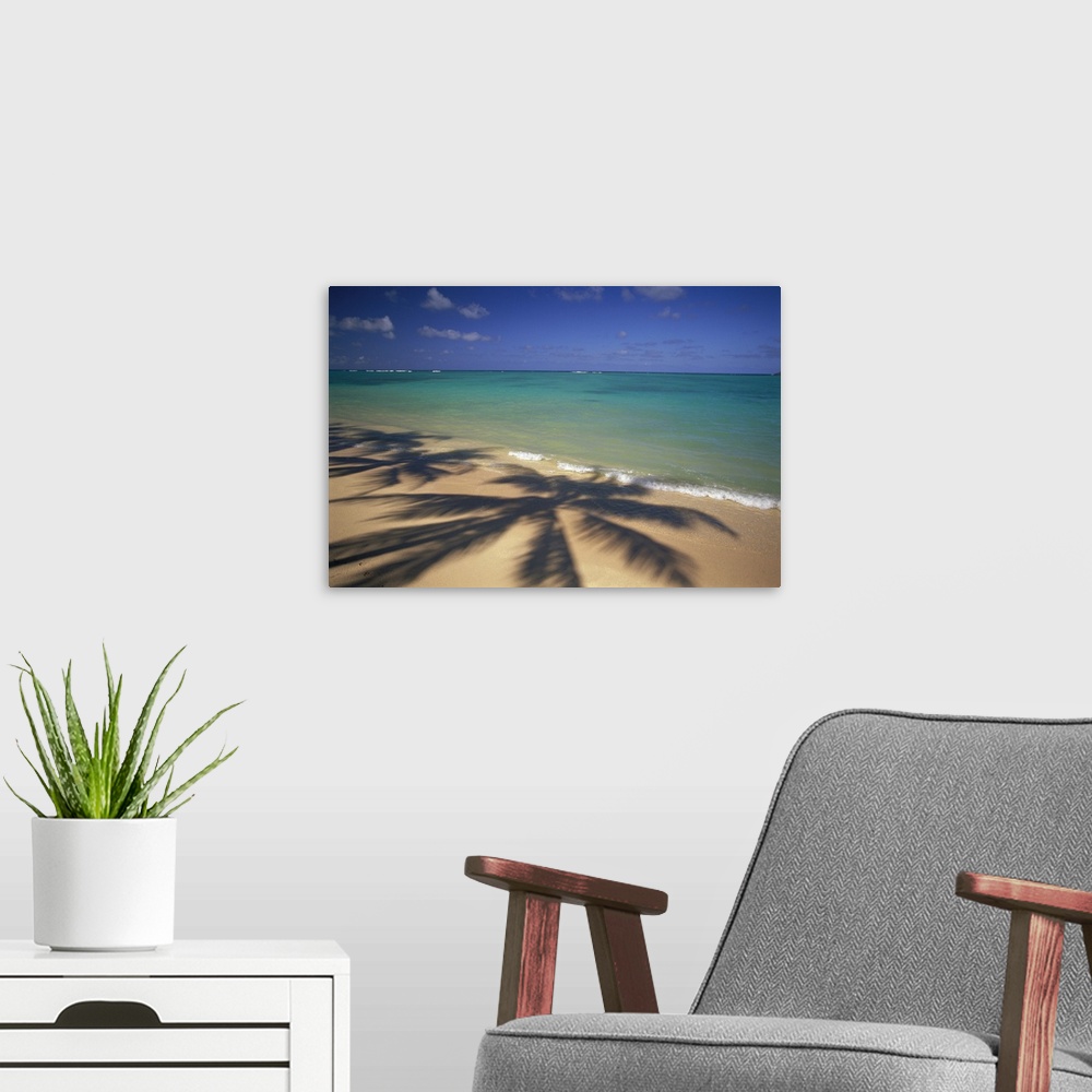A modern room featuring Large photo printed on canvas of the shadows of big palm trees.