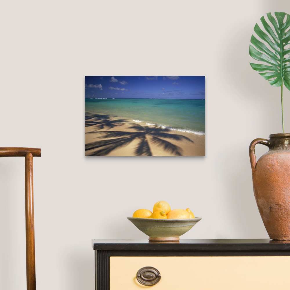 A traditional room featuring Large photo printed on canvas of the shadows of big palm trees.