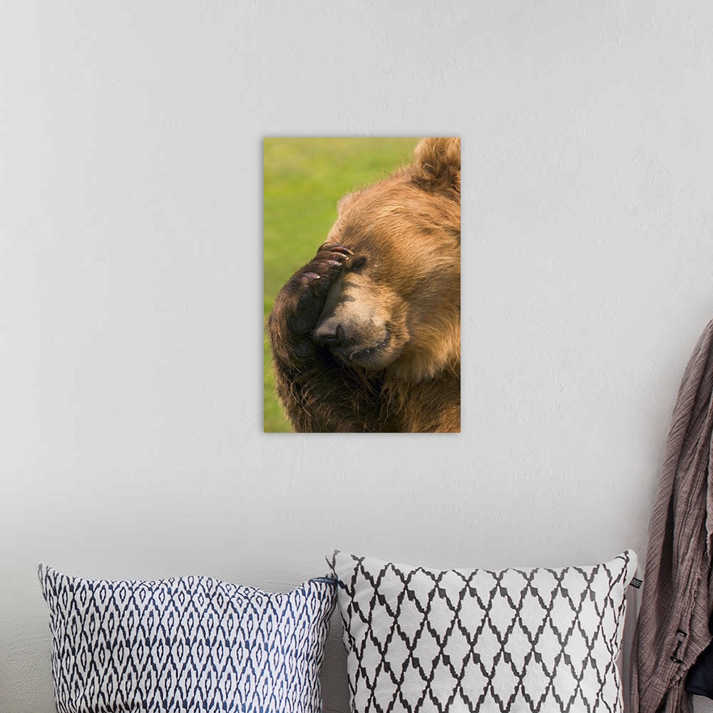A bohemian room featuring Bear With Paw Over Eye