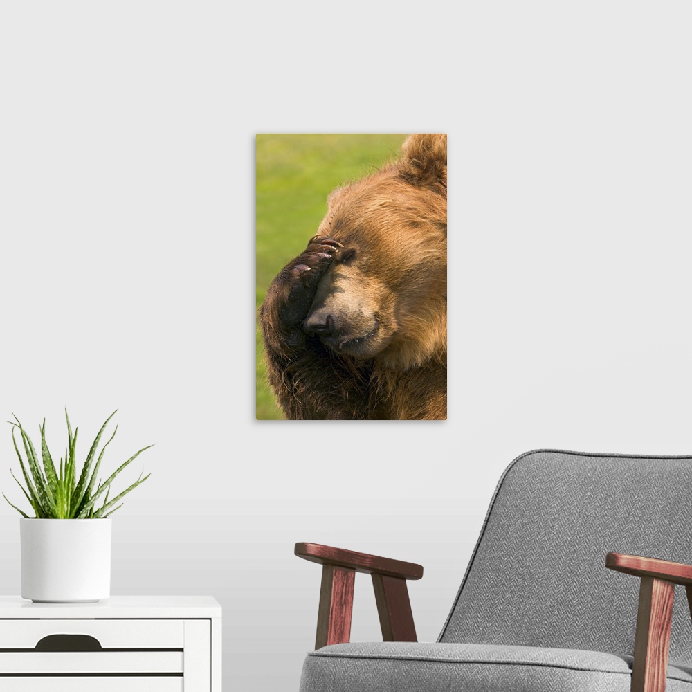 A modern room featuring Bear With Paw Over Eye