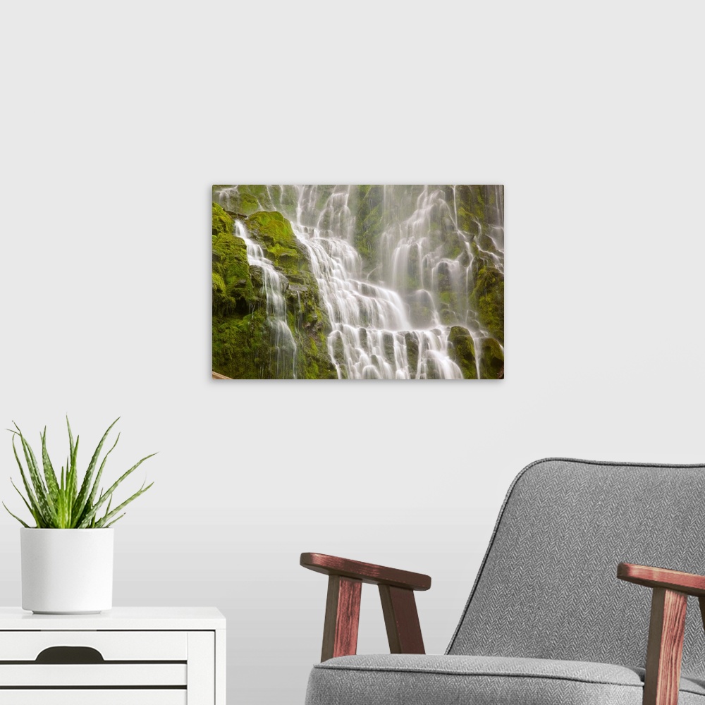 A modern room featuring Beautiful cascading proxy falls in Willamette national forest, Oregon, united states of America.